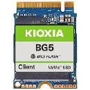 KIOXIA BG5 512GB, KBG50ZNS512G