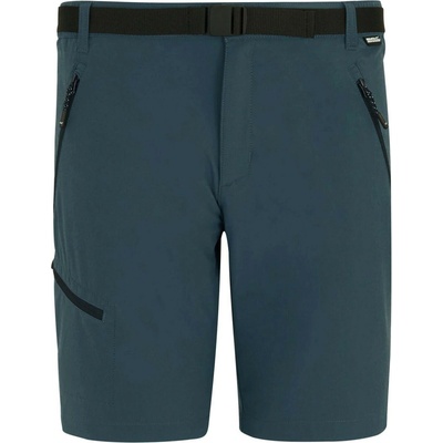 Regatta Xert Stretch Shorts
