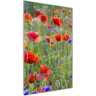 Vertikálny foto obraz sklenený Polné maky 50x100 cm