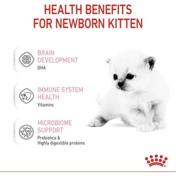 Image 1 of Royal Canin BabyCat Milk 300 g