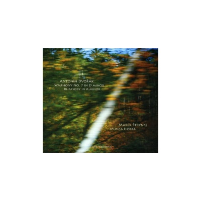 Dvořák Antonín - Symphony No.7 In D Minor / Štryncl M. / Digipack CD
