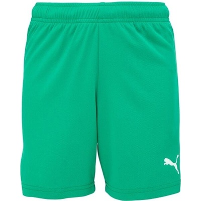 Puma TEAMRISE shorts junior ské šortky zelená