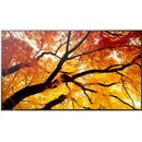 NEC MultiSync M552