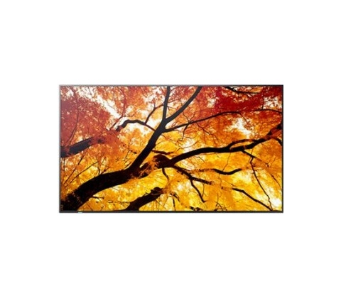 NEC MultiSync M552