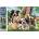 Norimpex - Puzzle Diamant painting: A happy bunch of dogs 30x40cm - 1 - 39 piese