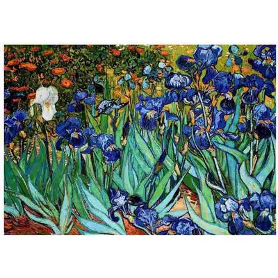 EUROGRAPHICS - Puzzle Irises by Vincent van Gogh - 1 000 piese