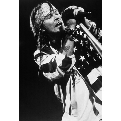 Plagát, Obraz - Guns n Roses, 26.7 × 40 cm