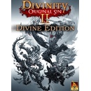 Divinity Original Sin 2 (Divine Edition)