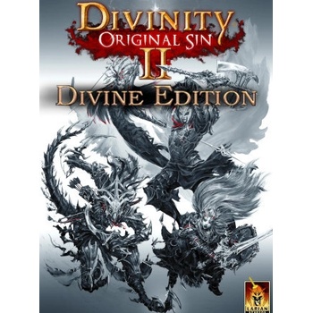 Divinity Original Sin 2 (Divine Edition)