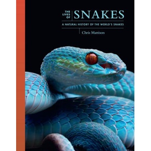 The Lives of Snakes | Chris Mattison (ISBN: 9780691250601)