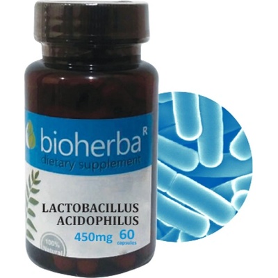 Bioherba Lactobacillus Acidophilus 450 mg [60 капсули]