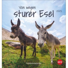 Esel Postkarten Von wegen sturer Esel 2025