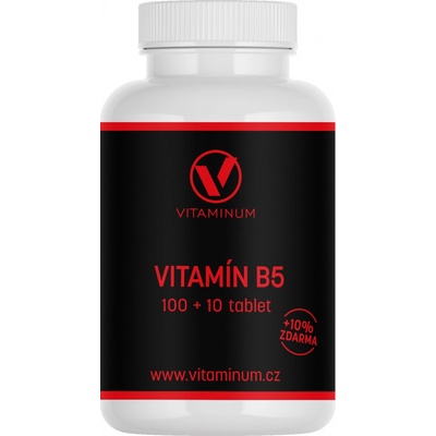 Vitaminum Vitamín B5 250 mg 110 tablet