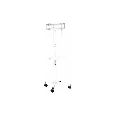 Gembird TV stand with wheels, tiltable 32 - 55 inches white