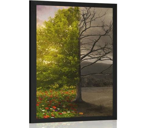 Plagát dve podoby stromu