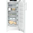 Liebherr FNc 667i