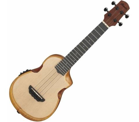 Ibanez AUC10E-OPN