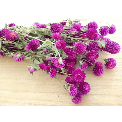 Gomphrena/Pestrovka sušená cyklámová, svazek 90g-95g