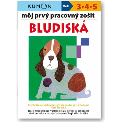 Bludiská môj prvý pracovný zošit