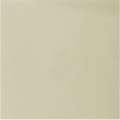 Santex Ubrousky Rainbow Ivory 40x40cm 20ks
