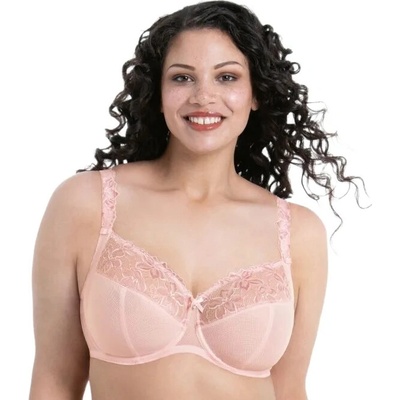 Rosa Faia 5253 Wild Rose