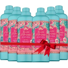 Tesori d´Oriente Aviváž Ayurveda 6 x 760 ml 38 PD