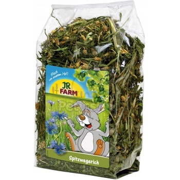 Image 1 of JR FARM копиевиден живовляк 100 гр