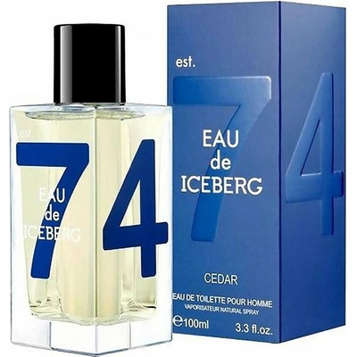 Iceberg Eau de Iceberg Cedar toaletní voda pánská 100 ml