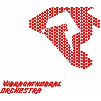 Vibracathedral Orchestra - Squeeze The Lids Through Coming Window LP