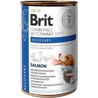 Brit Veterinary Diet Dog & Cat Grain Free Recovery Salmon 24 x 400 g