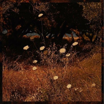 Earth Patterns - Szun Waves LP