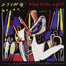 STING: BRING ON THE NIGHT, CD