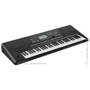 Korg PA300