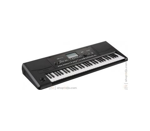 Korg PA300