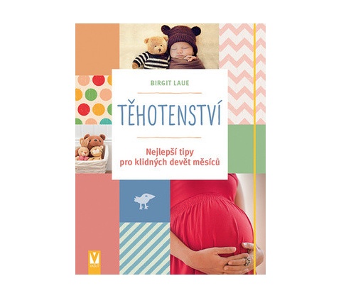 Těhotenství