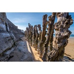 DIMEX ART Флизелинов фототапет печалба на брега 375 x 250 см