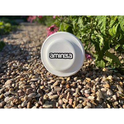 DTWorld Aminela Frisbee Fastback Classic