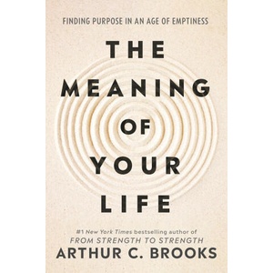 The Meaning of Your Life (2026)