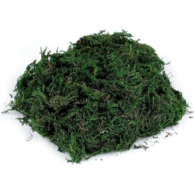 Dekorační mech 50 g - zelená