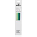 STANLEY The Quencher Tumbler Straws резервни сламки 890 ml Green 4 бр