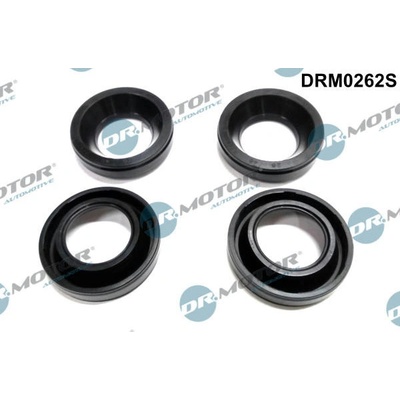 Tesneni, drzak trysky Dr.Motor Automotive DRM0262S