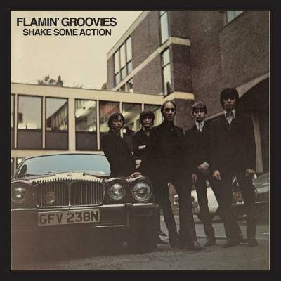 The Flamin' Groovies - Shake Some Action (140 g) 2 LP