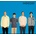 Weezer - Weezer LP