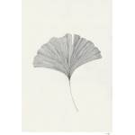 The Poster Club Постер 50x70 cm Ginkgo Leaf - Ana Frois - The Poster Club (10428-7)