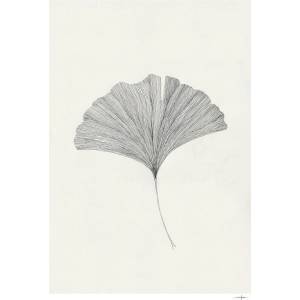 The Poster Club Постер 50x70 cm Ginkgo Leaf - Ana Frois - The Poster Club (10428-7)