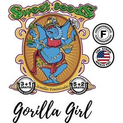 Sweet Seeds Gorilla Girl XL AUTO semena neobsahují THC 25 ks