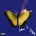 Maroon 5 - Love Is Like (Marble Yellow Coloured) (LP) (0602478218071)
