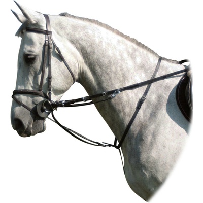 Kentaur Thiedemann kombinace otěže + martingal – Hledejceny.cz