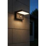  Led АПЛИК brio 9w 3000k 210x80x63mm ip54 bl (6252)
