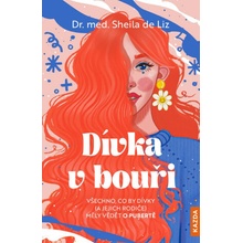 Dívka v bouři - Sheila de Liz
